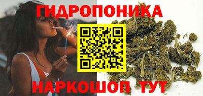 прущие грибы Берёзовский