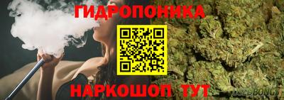 mdpv Бийск