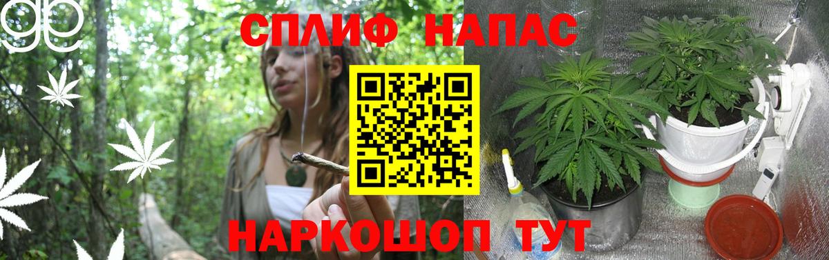 Марихуана сатива Верхний Уфалей